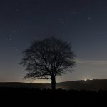 A picture of Orion, Hyades, Pleiades and a Tree by David Tolliday